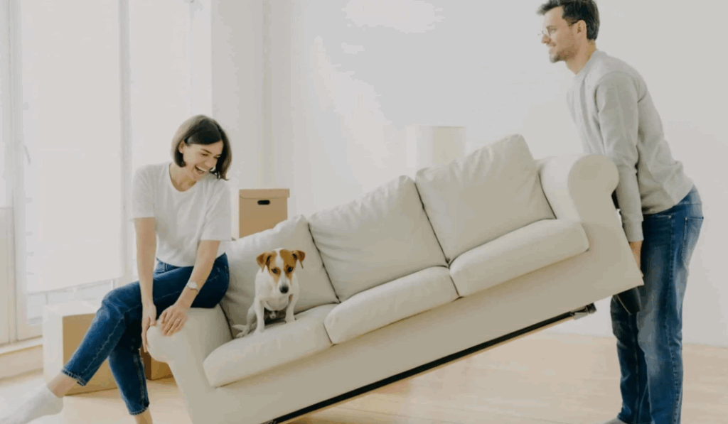 Moving with Pets - How to Make It Comfortable Moving with Pets - How to Make It Comfortable