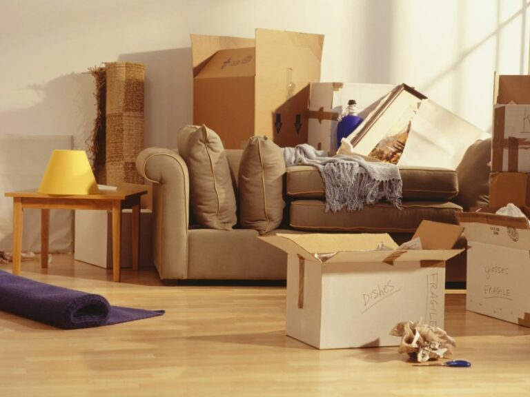 Moving Tips with Kids and Pets - Finding the Right Family-Friendly Moving Service.